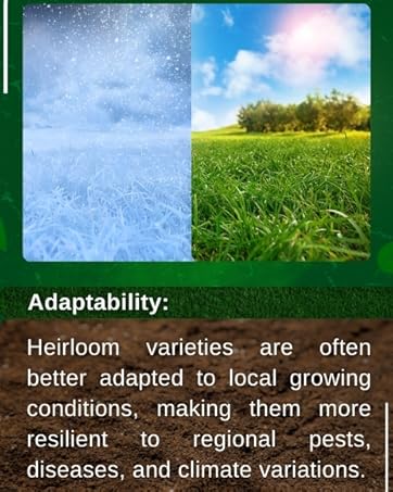 hardiness zones
