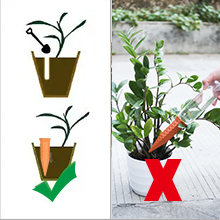 Plant Watering Globes