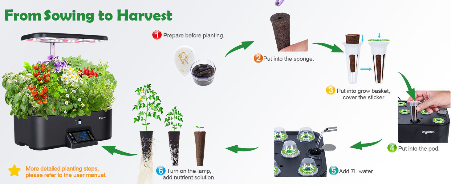 planting steps