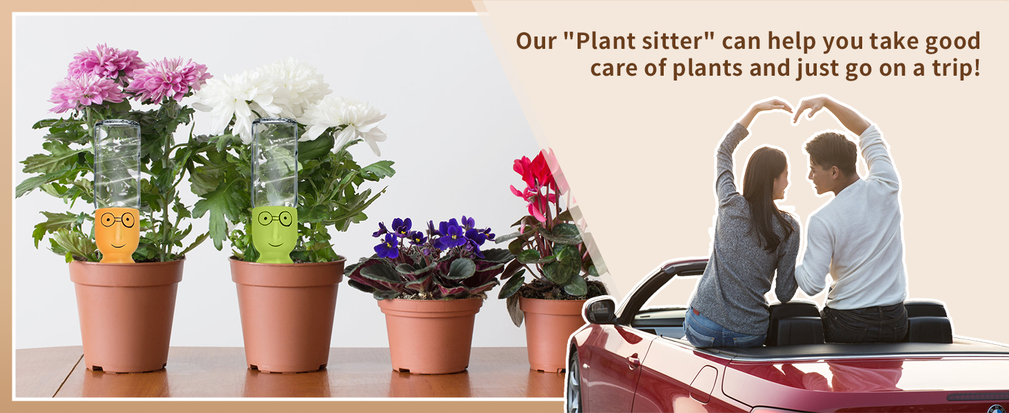 Self Watering Planter Insert