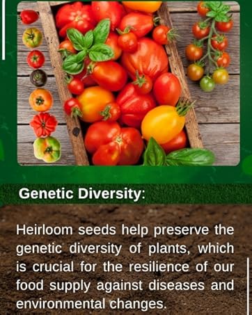 genetic diversity