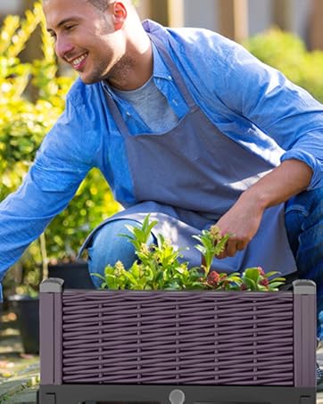 raised bed