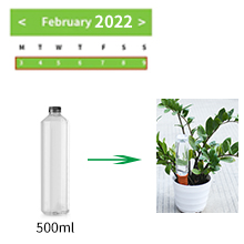  Plant Pals