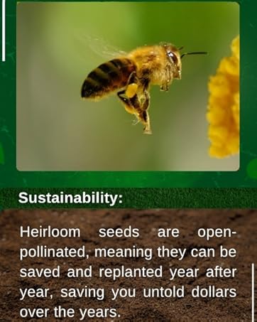 open pollinated