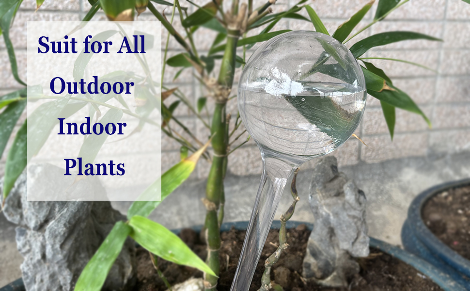plant water dispenser
