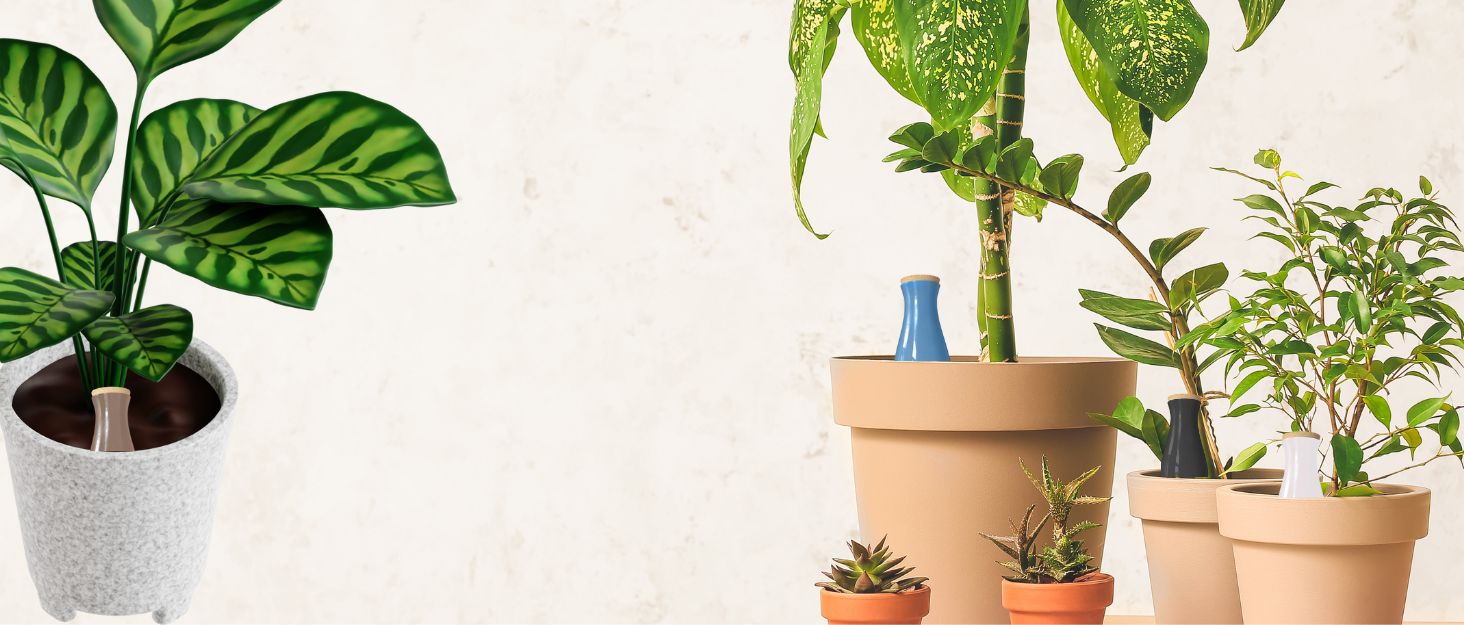 terracotta spikes self watering globes waterer plants indoor outdoor vacation away while vacationing