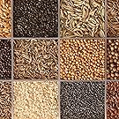 Variety of Different Vegetable, Fruit, & Herb Survival Seeds
