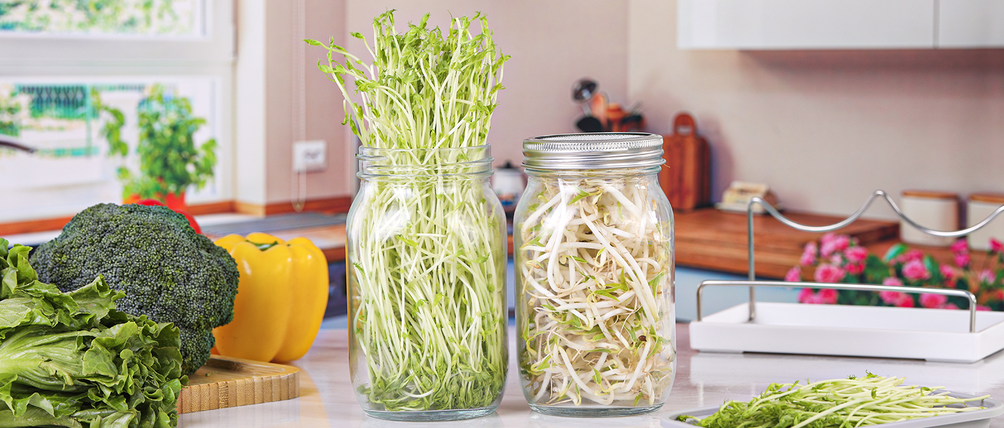 Sprouting Jar Kit