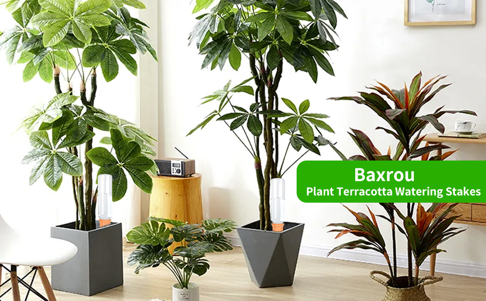 Self-Watering Stakes