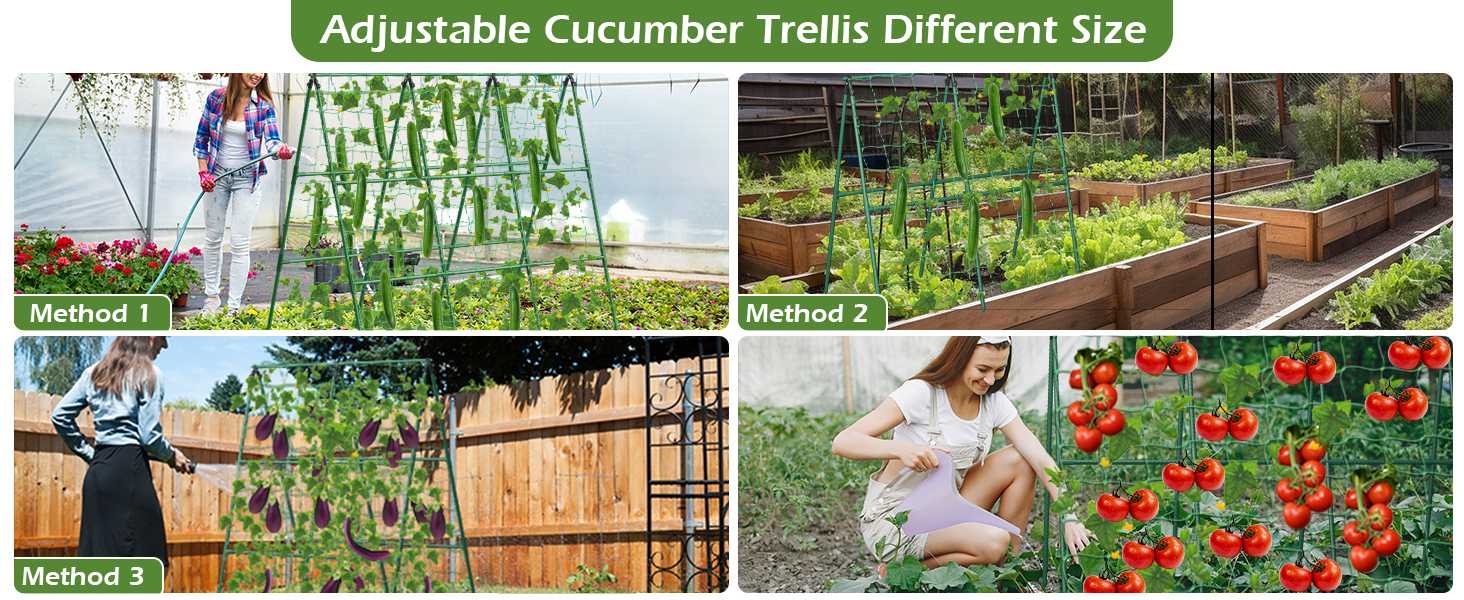 Garden Trellis for Climbing Plant