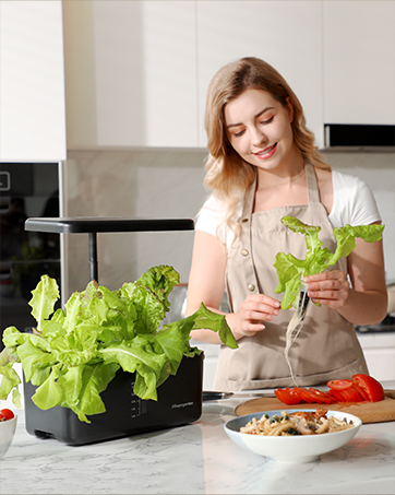 Smart Hydroponics