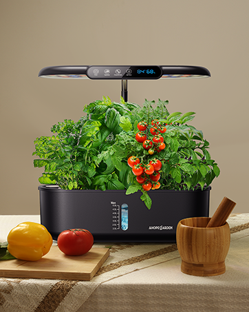 Indoor Hydroponics 