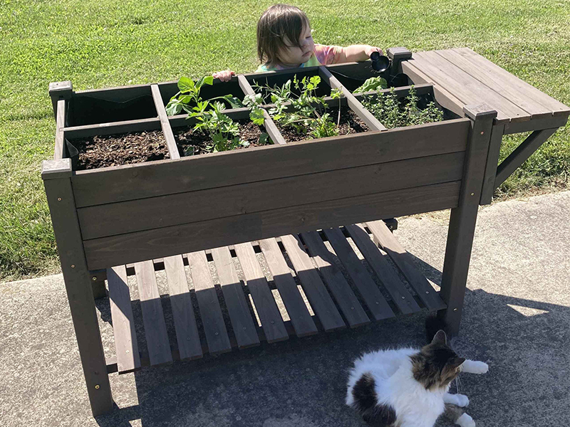 Wood Raised Garden Bed