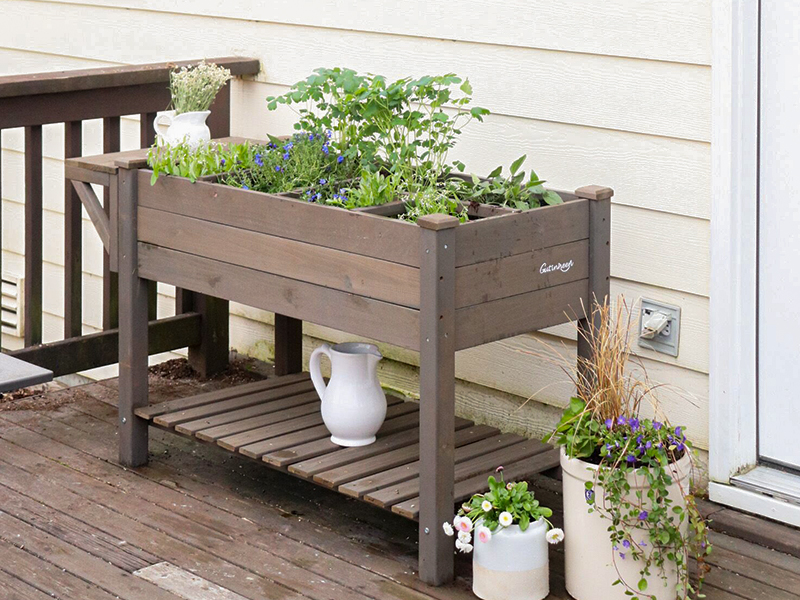raised bed