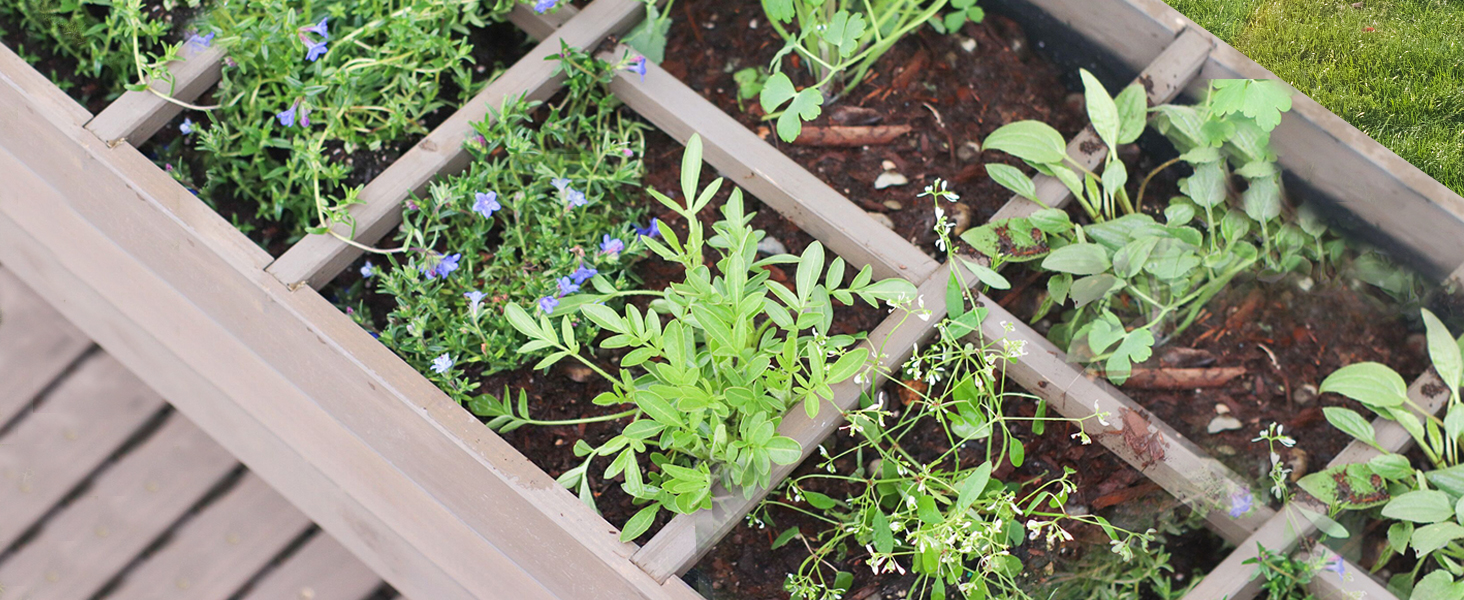 Elevated Wood Planter