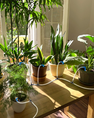 automatic plant waterer