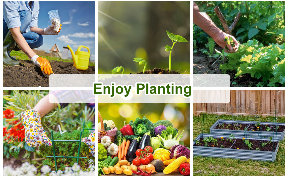 enjoy planting