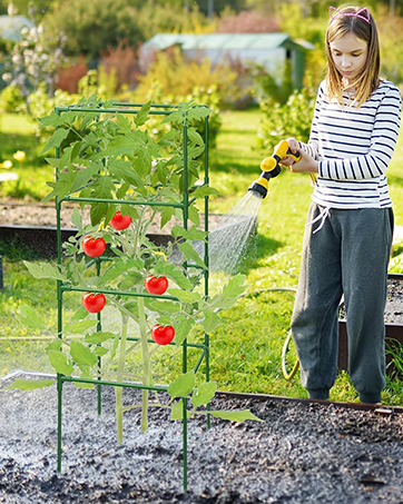 Tomato Cage 