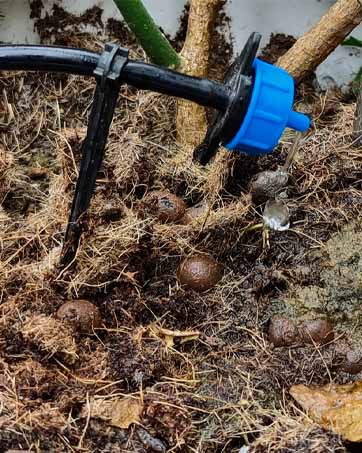 Drip Irrigation Kit with Water Timer