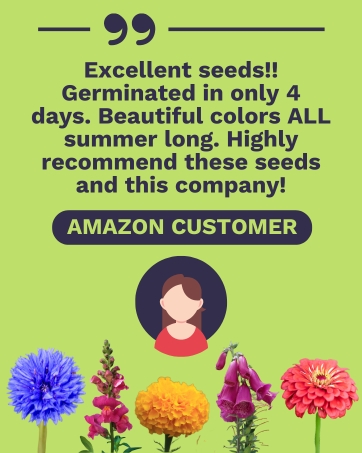 amazon customer