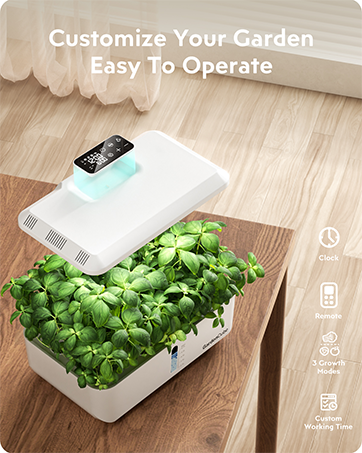 hydroponic garden