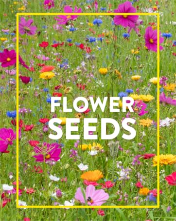 Home Grown Flowers Seeds