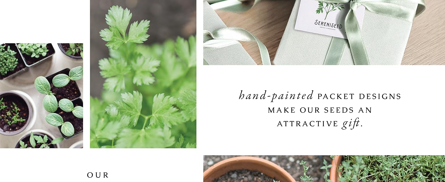 Hand-painted packet designs make our seeds an attractive gift.