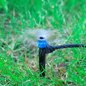 Drip Irrigation