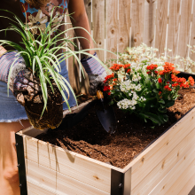 #Cedar Planter #Raised Garden Bed #Sustainable #Outdoor Planter #Planter Box