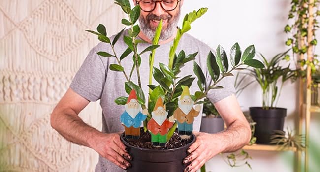Self Watering Spikes