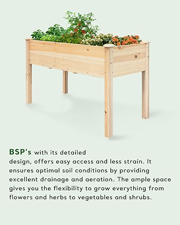 raised garden bed