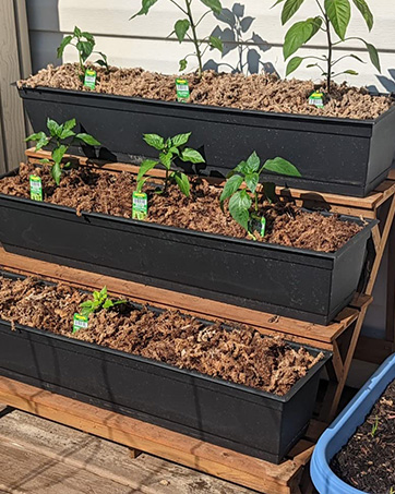 plant stand