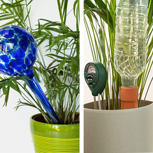 watch dog plastic terracotta olla plant self watering devices spikes bulbs for plants 2 bulb aqua 