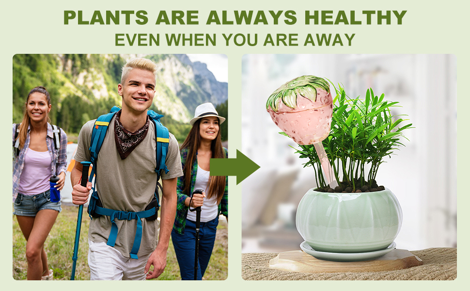 self watering for indoor plants