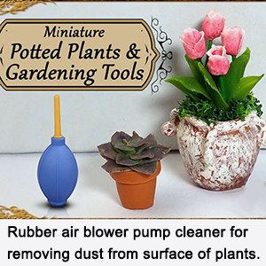 succulent gardening tools