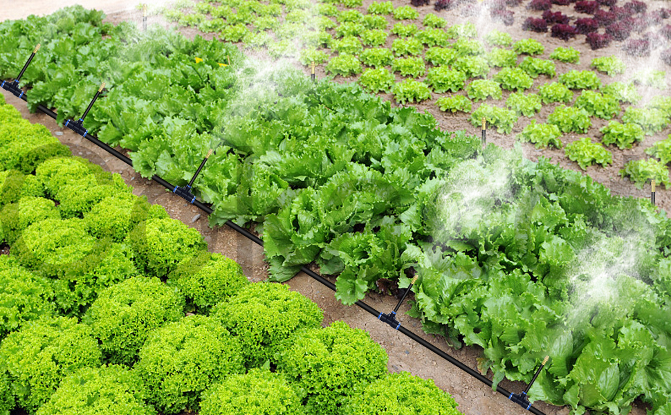 misting automatic irrigation system