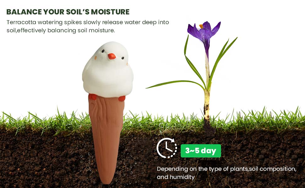 plant waterer