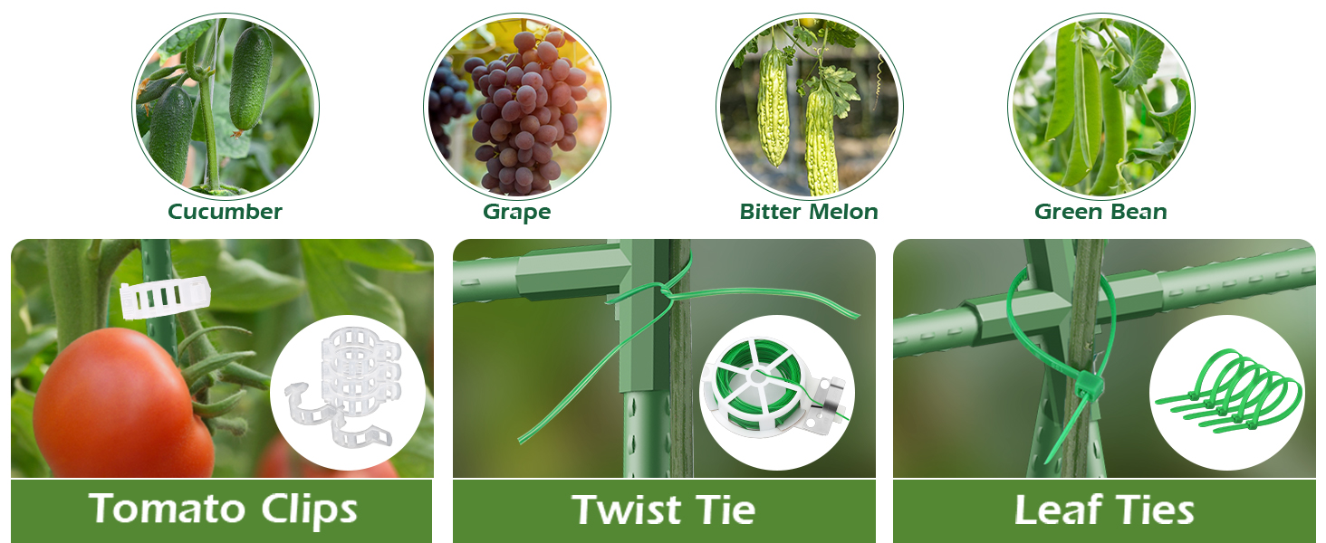 Garden Trellis for Climbing Plant