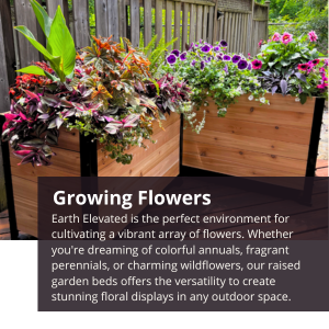 #Cedar planters #Raised Garden Bed #Balcony Planter #Growing #Gardening