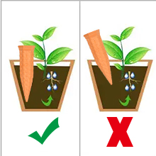 Self Watering Planter Insert