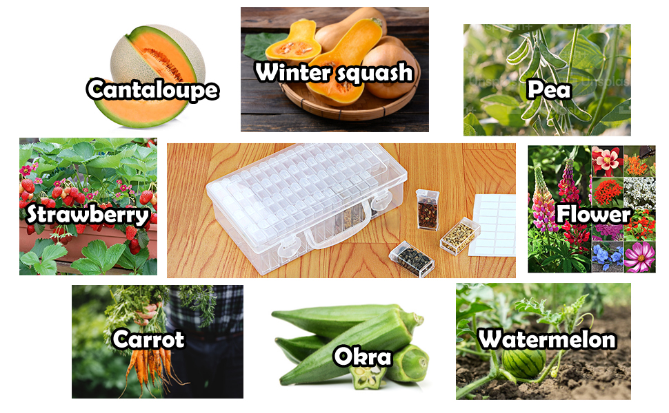 seed box