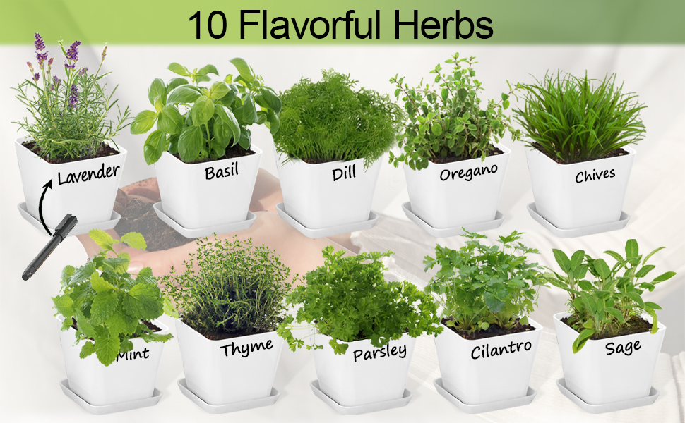 herb garden planter kit indoor herb starter kit herb kit kitchen window herb garden growing kit