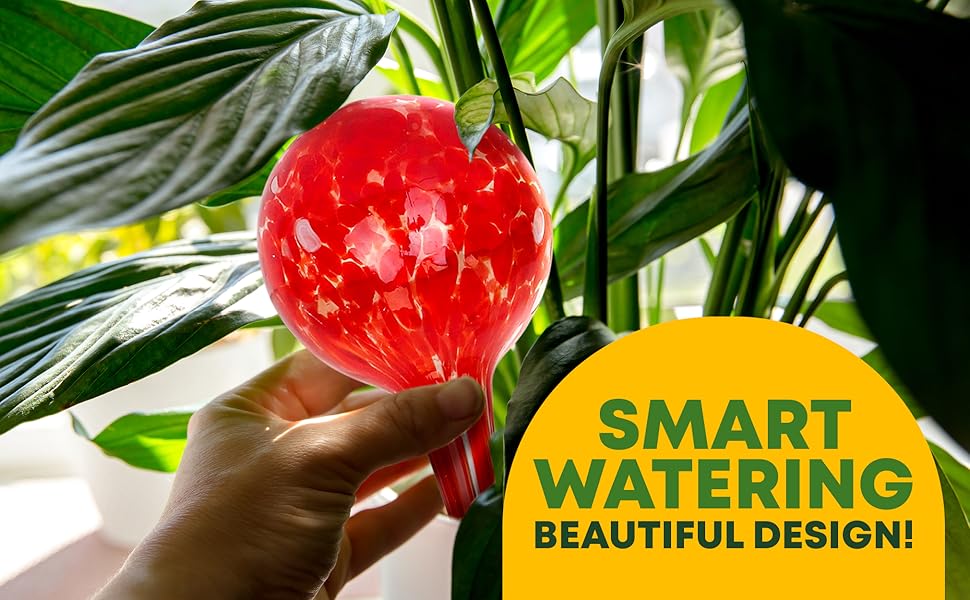 plant watering globes durable, high quality globes
