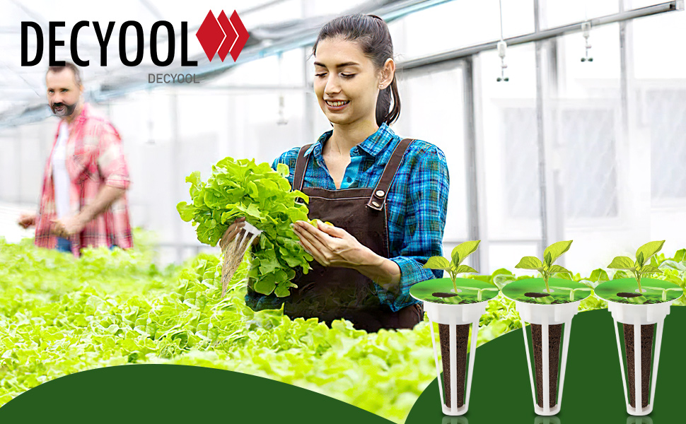 Hydroponic Kit
