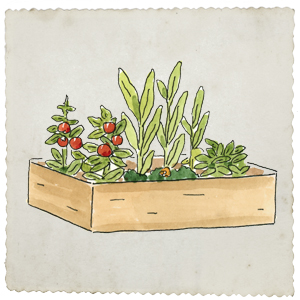 Cartoon image of garden.