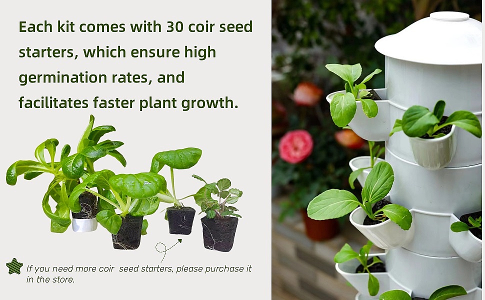 Hydroponic Growing system makes gardening easy.