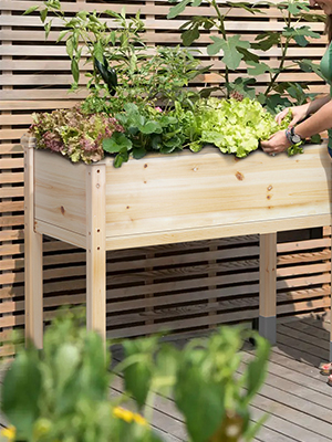 lagre planter box