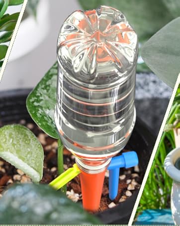 self watering for indoor plants