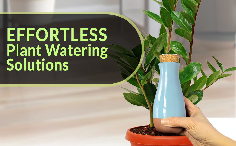 effortless plant watering solutions