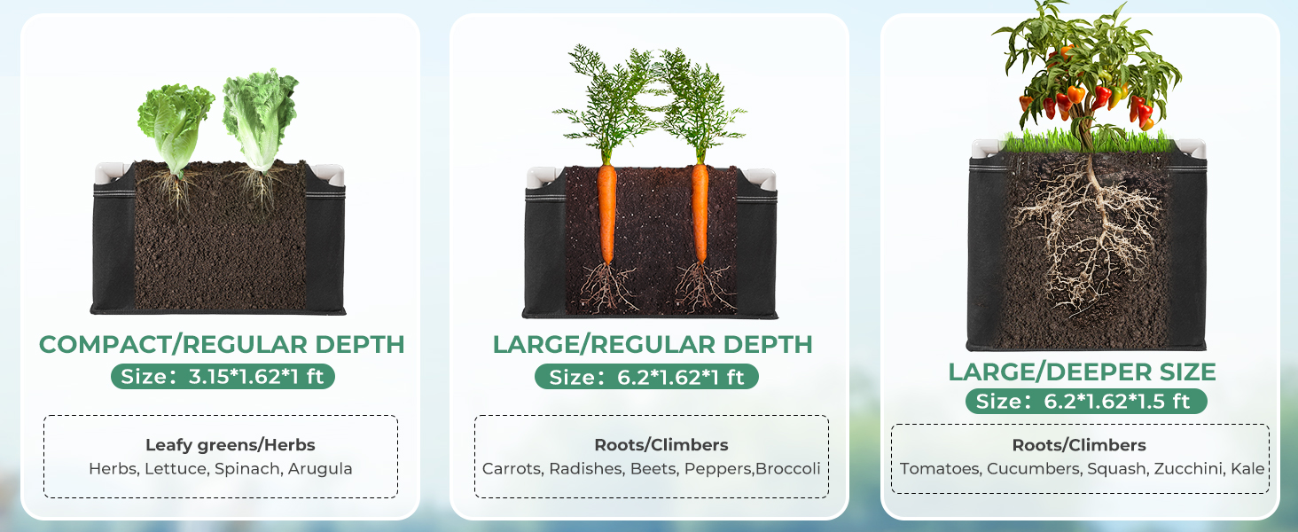 raised beds